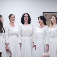 Visnjicevi dani 2023 - Dijaspora iz Austrije